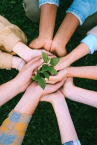 Hands holding a little tree. Volunteer Work Opportunities in Canada